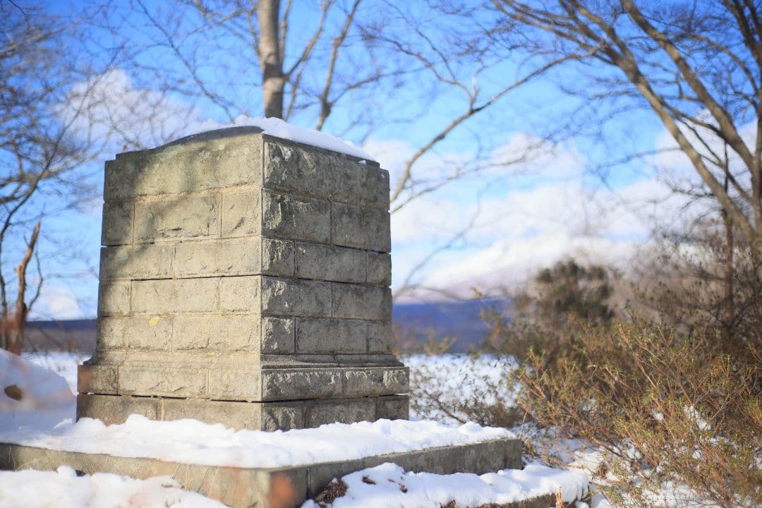 YASHICA AUTO YASHINON DS-M 50mm F1.7【美品】