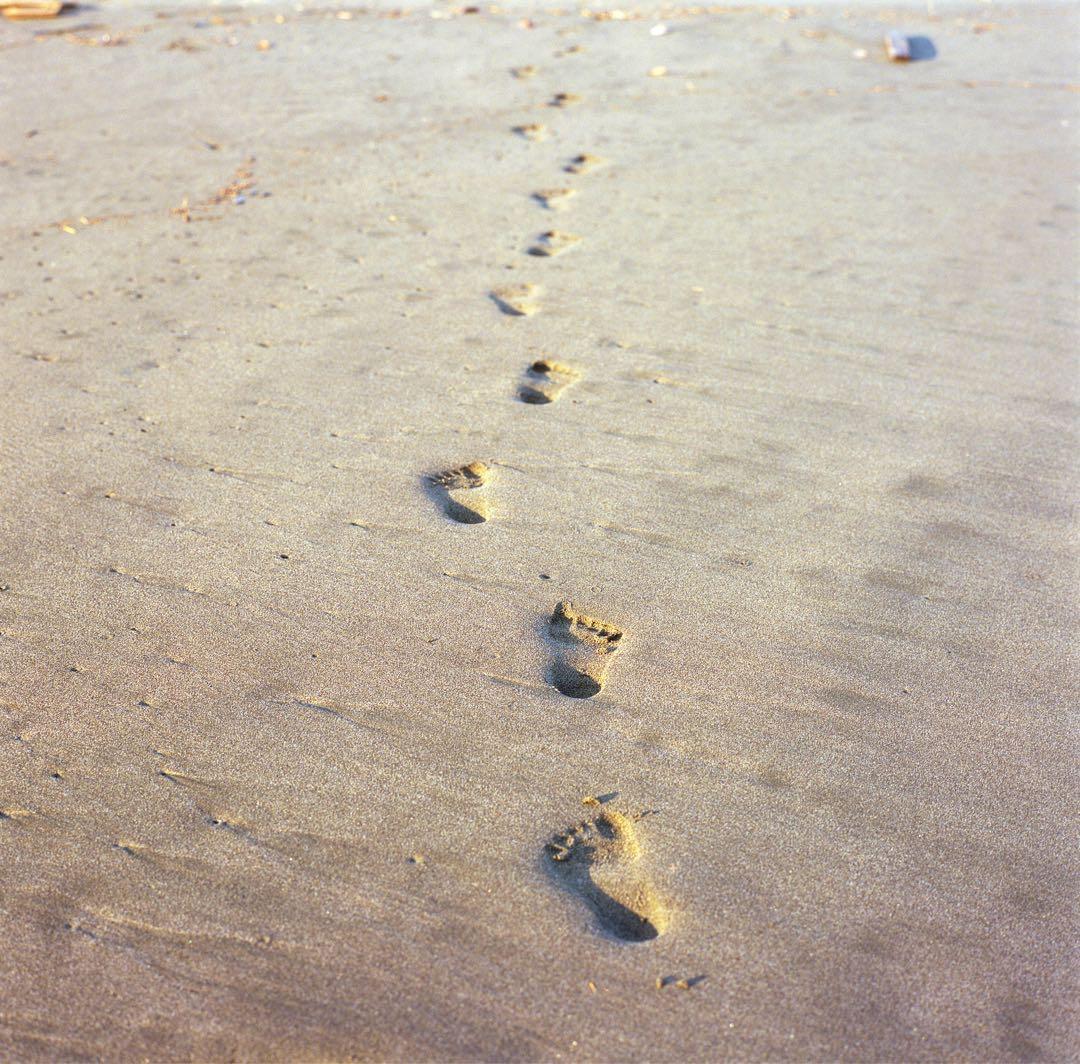 Bronica S2中判カメラ _前オーナーにてオーバーホール