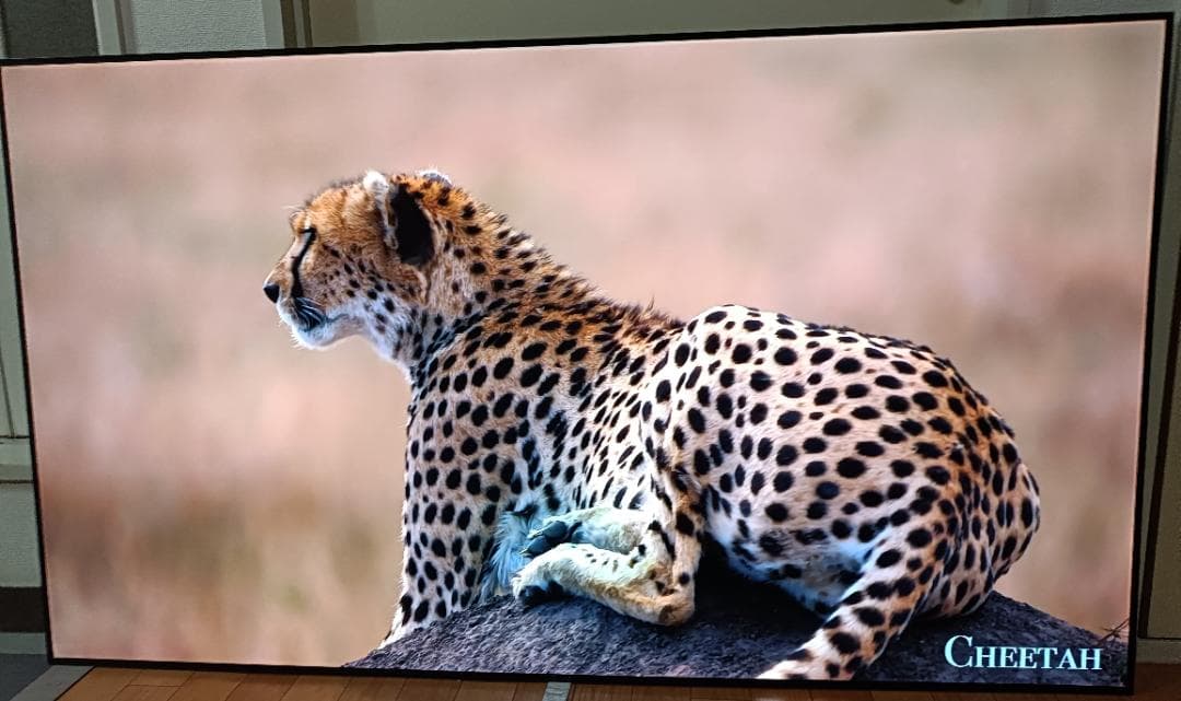 美品 65V型 LG貼るテレビ OLED65W8P 最上位モデル 定価87万円