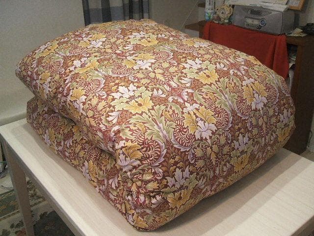 新品＊五つ星ゴールド＊グース（ガチョウ）＊ハンガリーグース９３％＊羽毛ふとんＤ