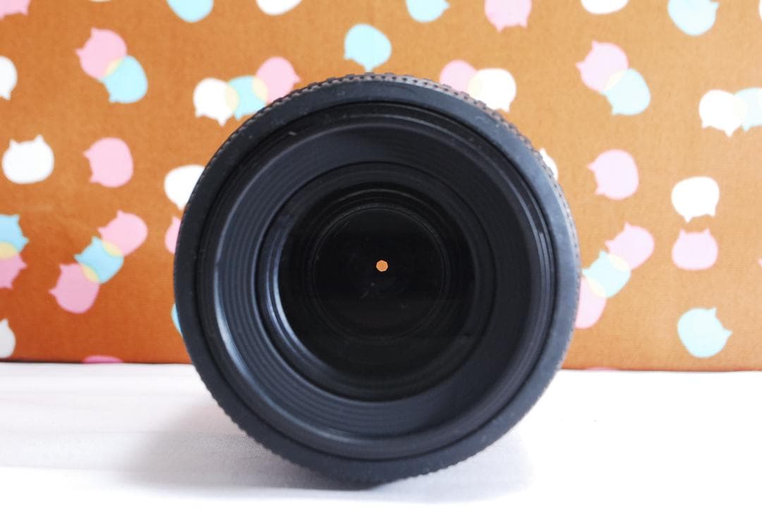 ✨望遠レンズ ✨ショット数2118回✨Nikon D60 レンズセット