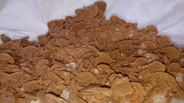 サンドローズ(デザートローズ)