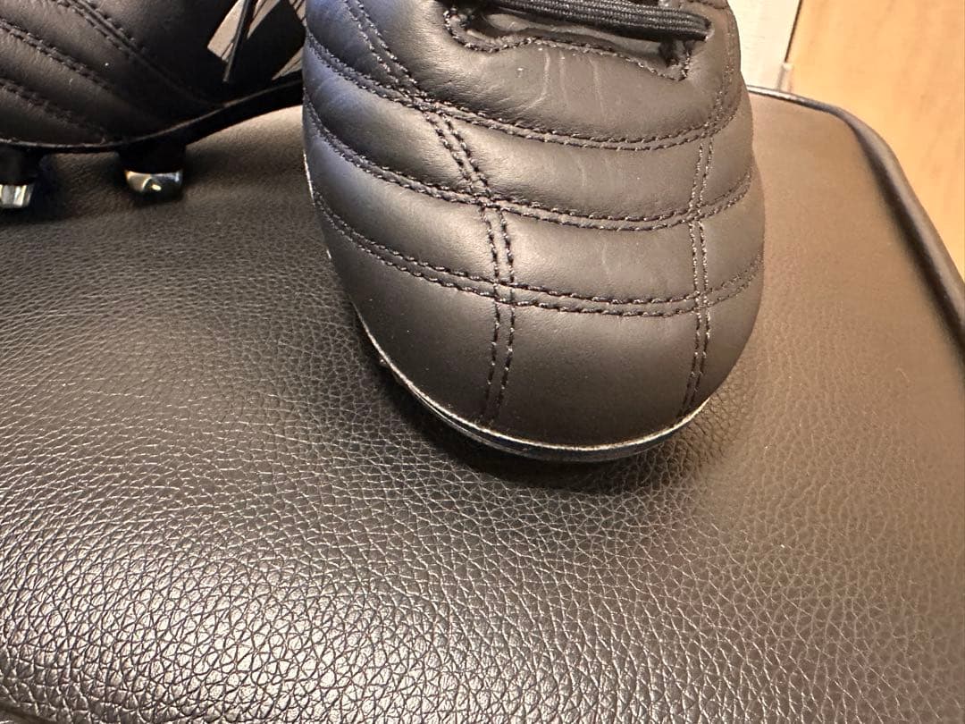 アシックス　DS LIGHT X-FLY 5 25.0㎝