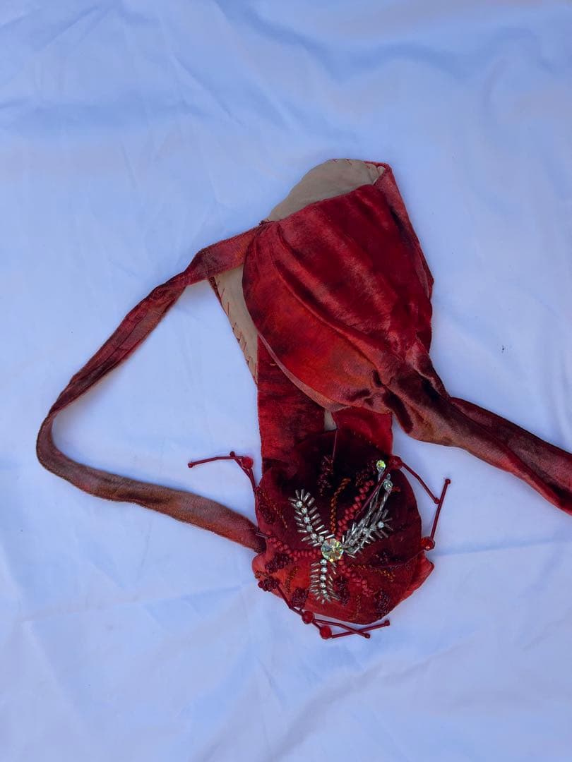 ブラジルベリーダンス セットアップ 赤紫