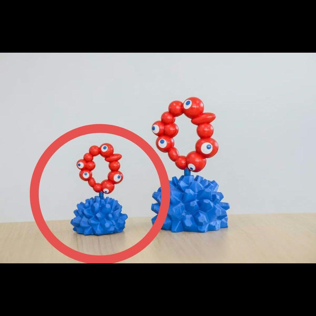 Sサイズ LOBINDON ロビンドン ミャクミャク グラキリス 亀甲竜 塊根