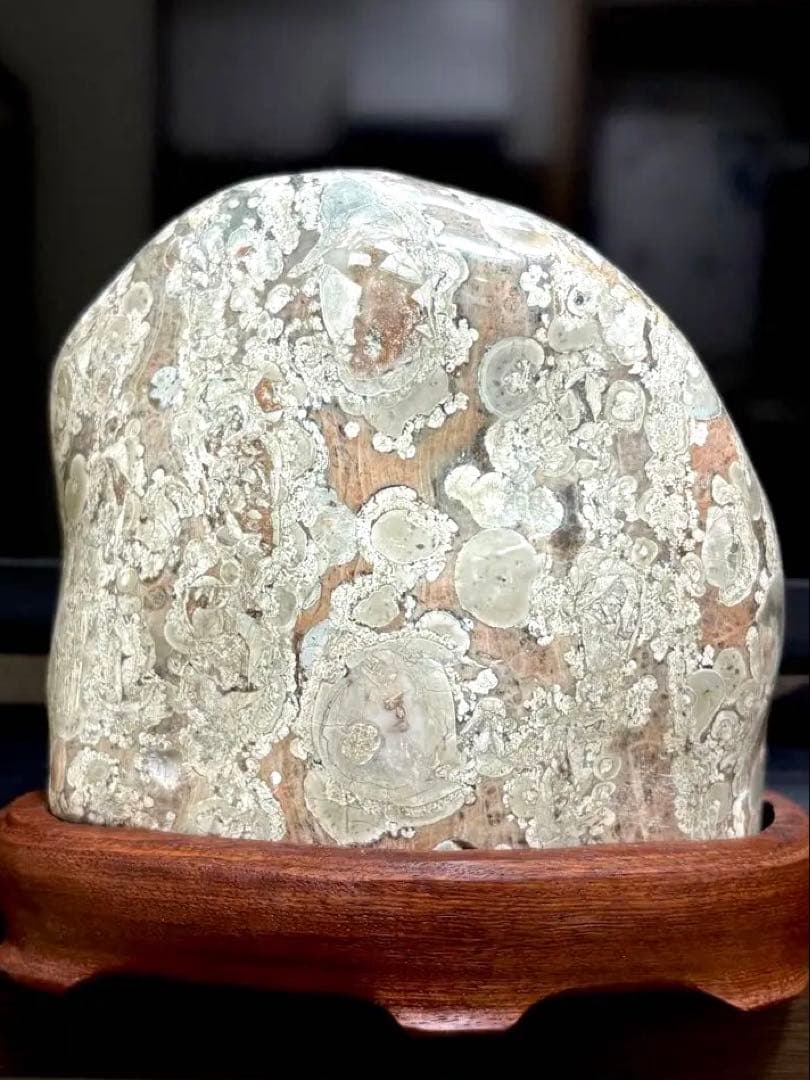 越前紋石　梅花石　鑑賞石　水石　自然石　両面磨き　2163g 花梨台座付　希少品