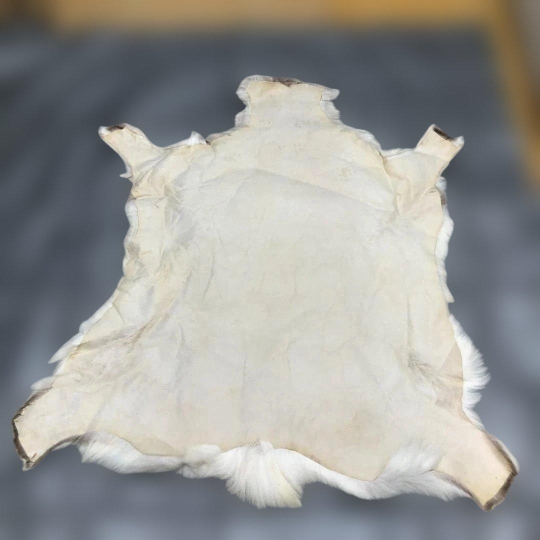 送料無料 POKKA トナカイ ムートン 天然本革 高級毛皮 251113