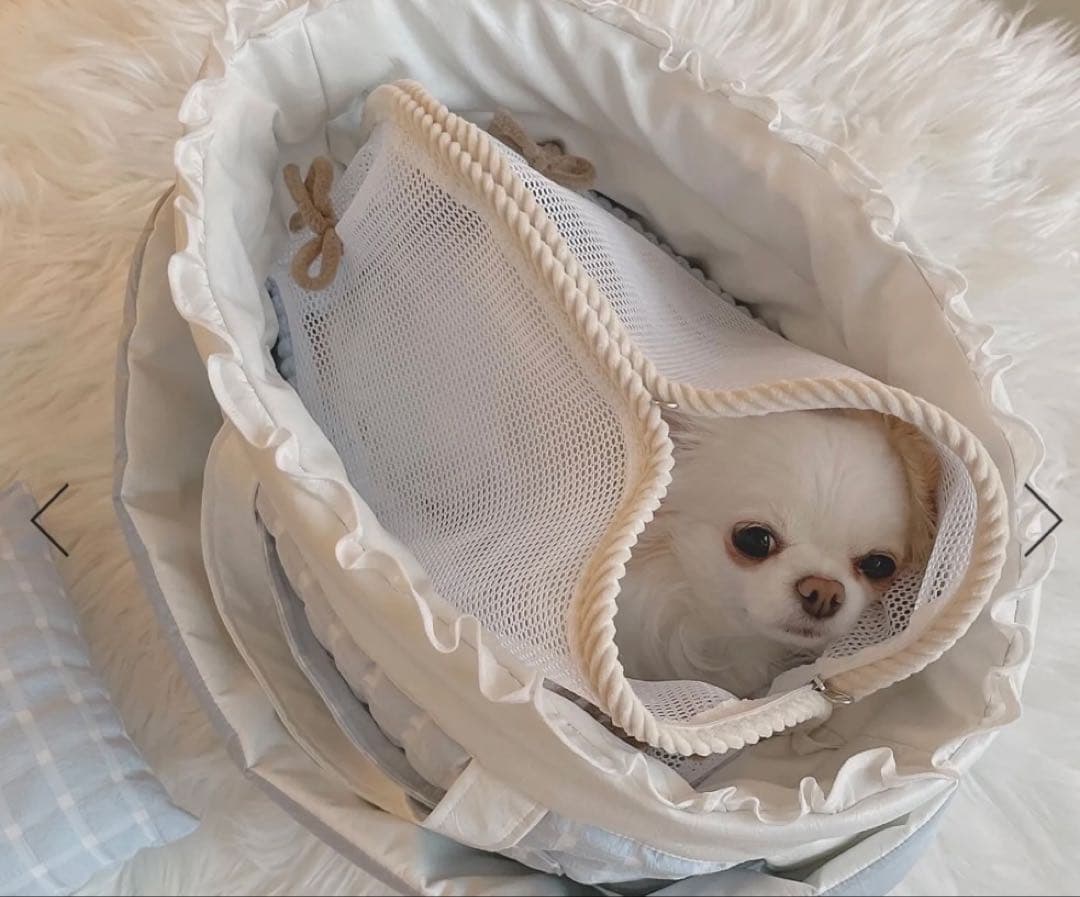 新品　バビアナ　インナーポーチ　BABIANA SORA M