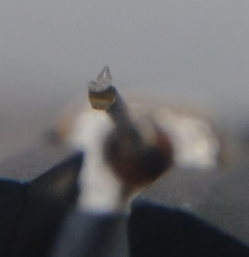 デノン MCカートリッジ DL-103 出音音質良好美品