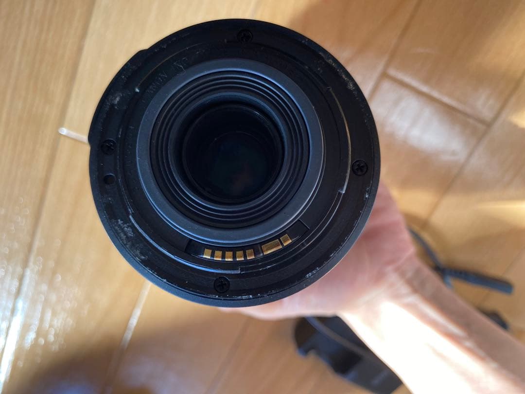 Canon EOS X2 デジタル一眼レフ 55-250mm 望遠レンズ付