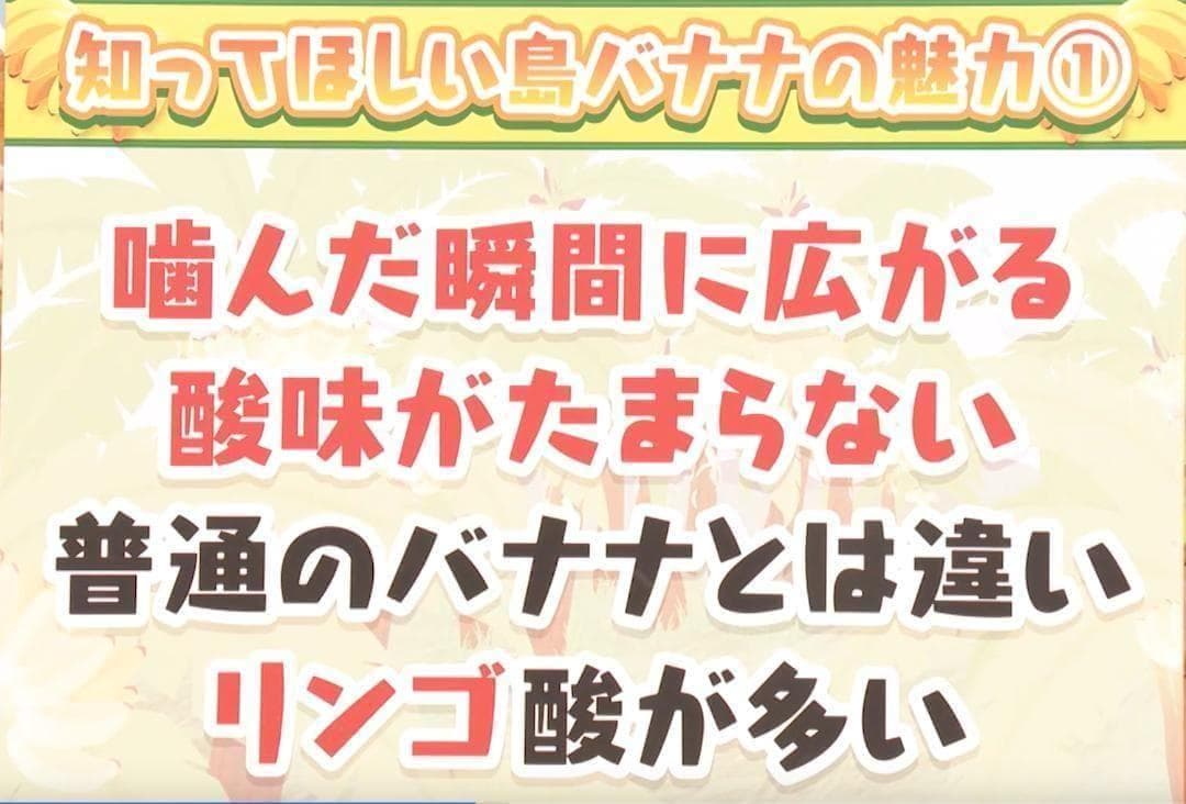 最後１苗◆世界一美味と報道、伝統種/島バナナ＝210㎝◆糖度モンスター　木熟OK