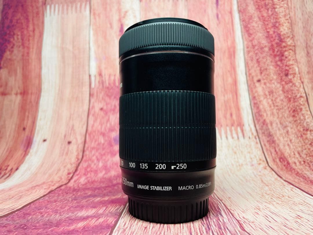 CANON キャノン EF-S 55-250mm 1:4-5.6 IS STM