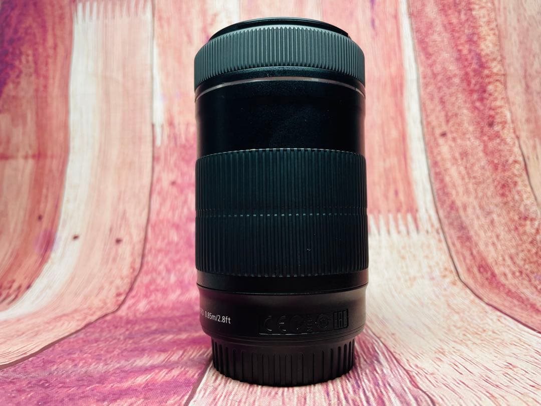 CANON キャノン EF-S 55-250mm 1:4-5.6 IS STM