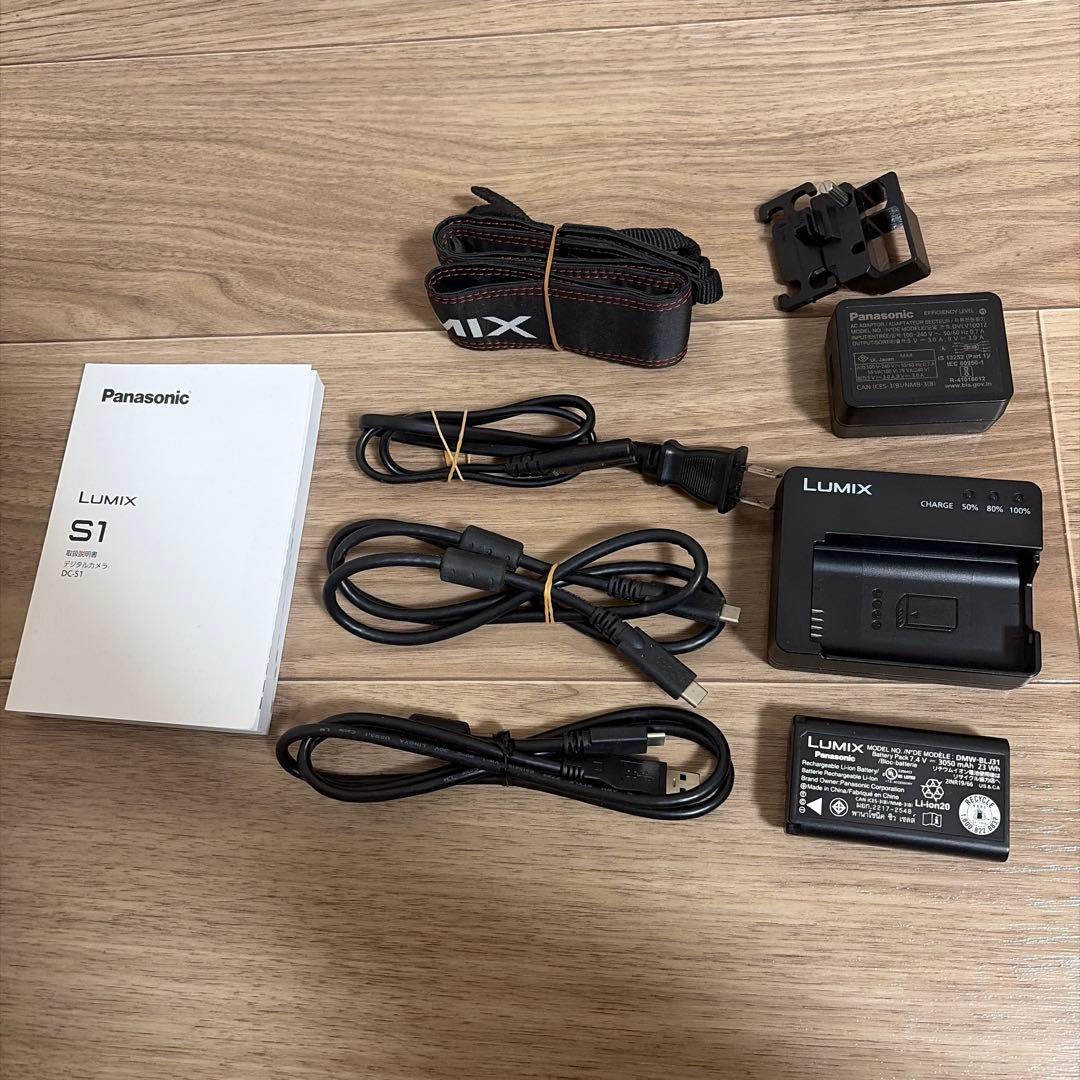 LUMIX DC-S1 20-60mmレンズキット【シャッター5.3万回】