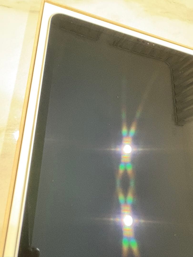 モ*ル様 【新品同様】iPad Pro 12.9 1TB Cellular 10