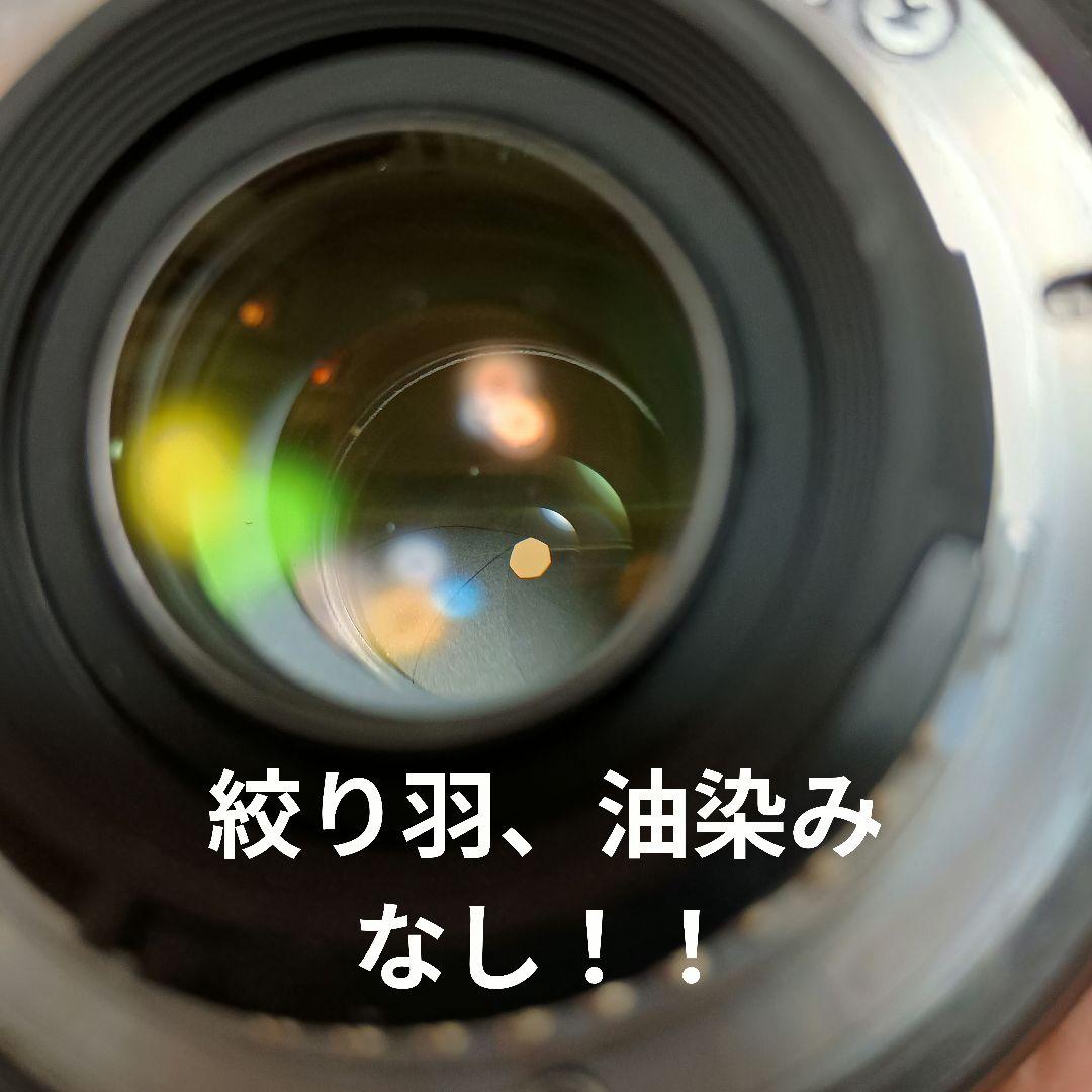 【光学美品】Nikon AF-S NIKKOR 18-200mm VR