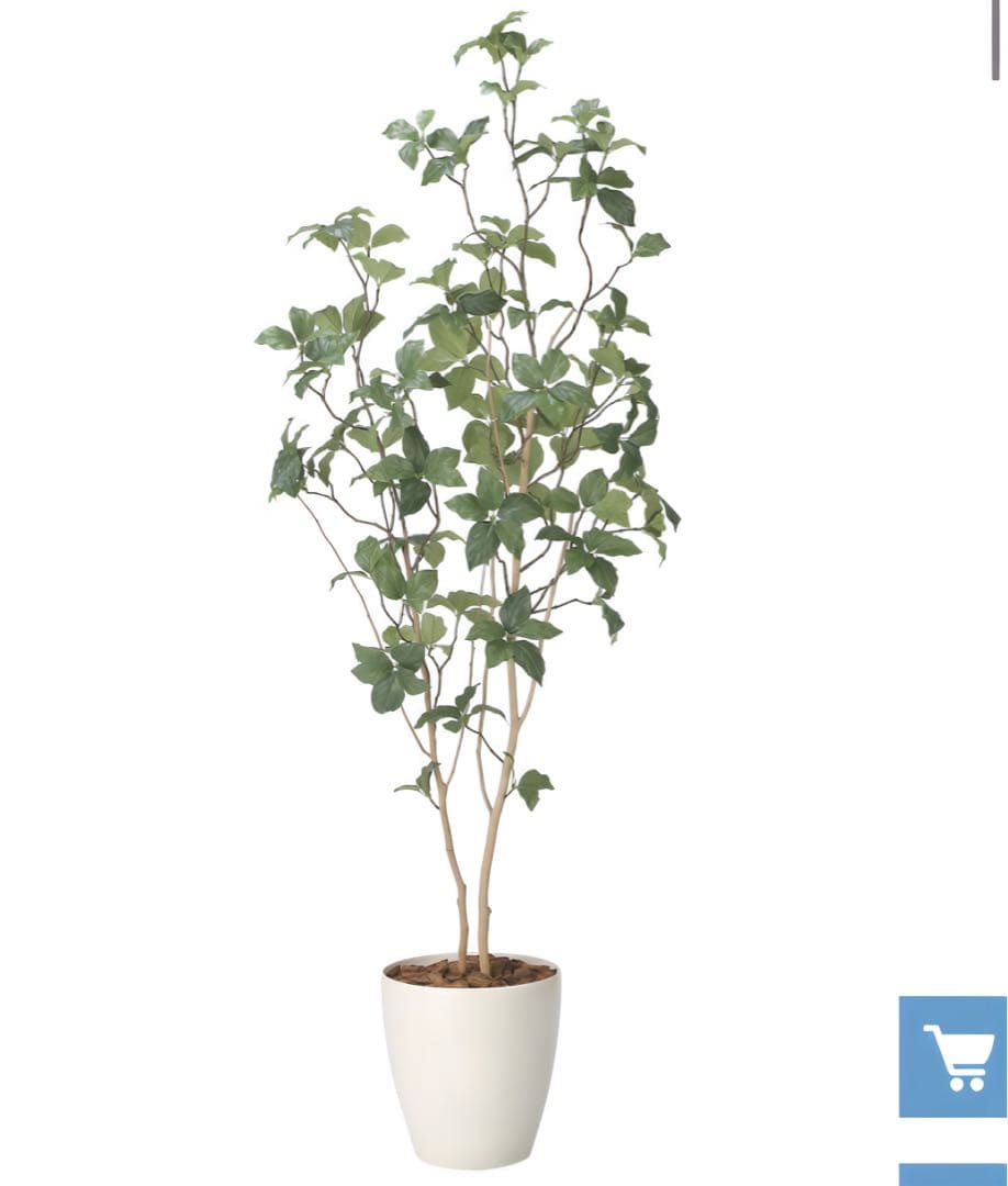 光触媒　人工観葉植物　ウォールグリーン　フェイクグリーン　サラサドウダン1.6