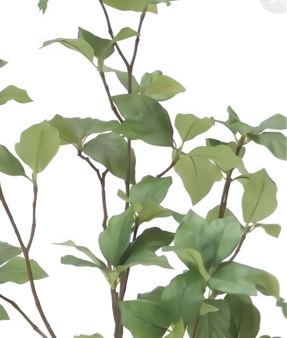 光触媒　人工観葉植物　ウォールグリーン　フェイクグリーン　サラサドウダン1.6