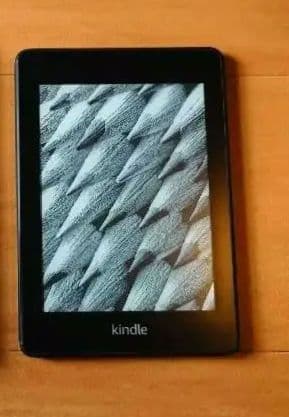 KindlePaperwhite第10世代 32GB 防水 WiFi 広告なし