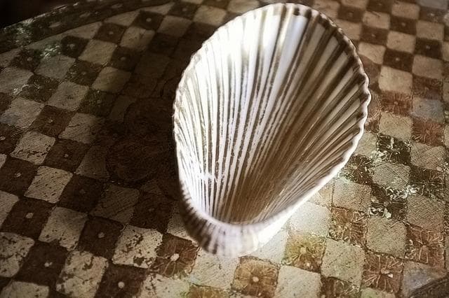 19世紀 金の貝と大きなラヴィエb パリ窯 プレート シェル アンティーク