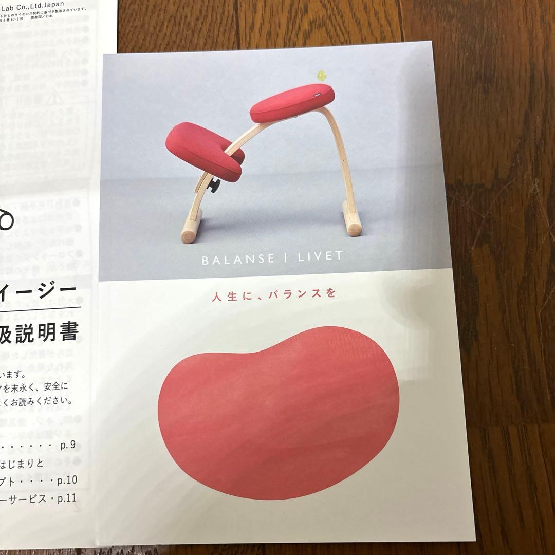 【極美品】balans Easy バランスイージー 通常フレーム オプション付き