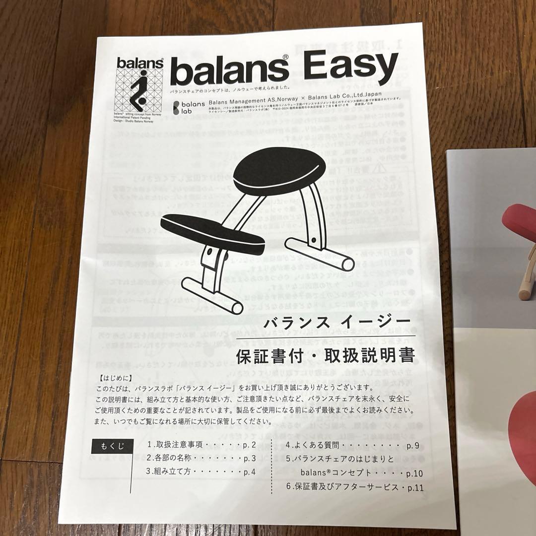 【極美品】balans Easy バランスイージー 通常フレーム オプション付き