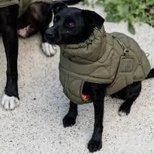 Kentucky Dogwear 未使用 コート ダウン 中綿入り