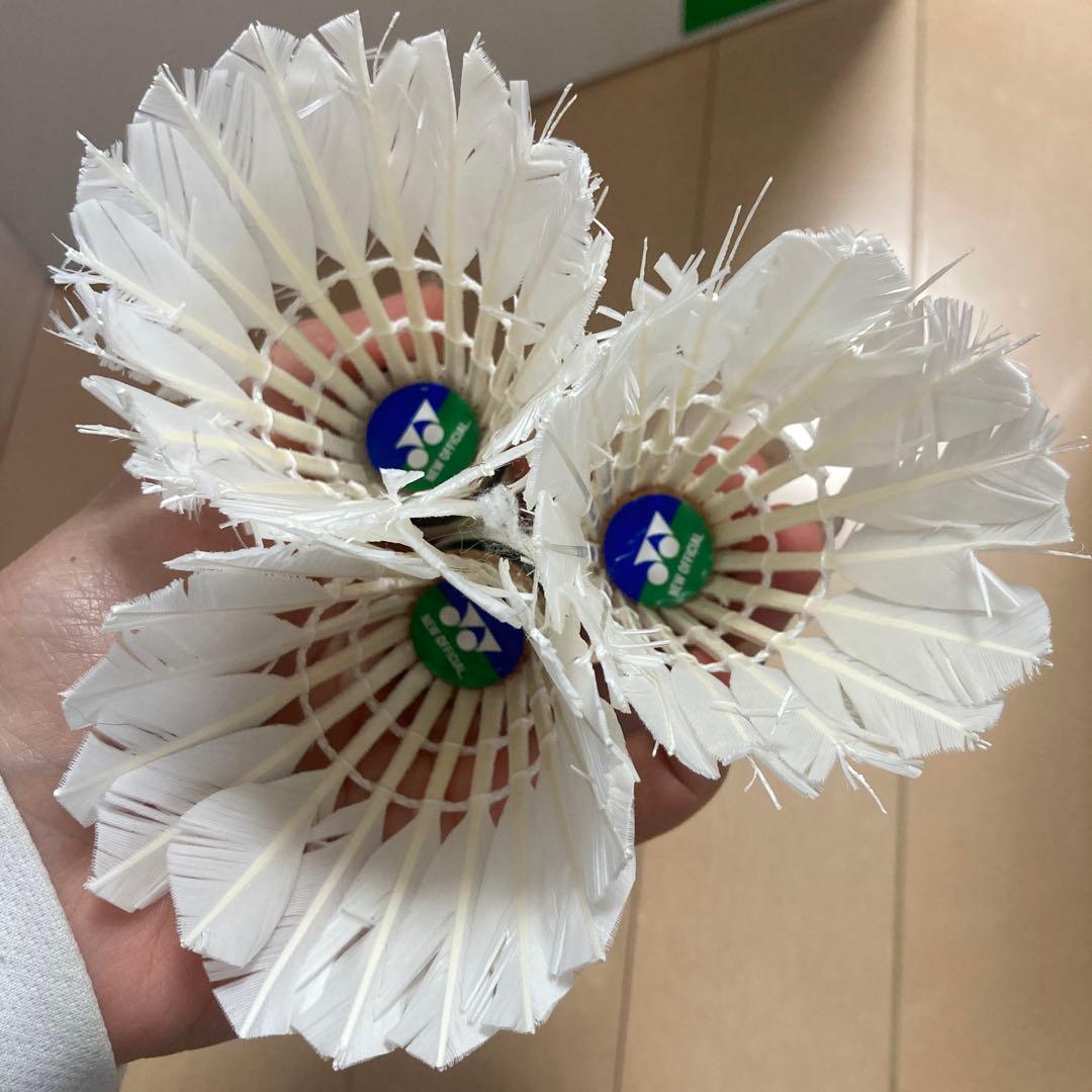 YONEX 羽根シャトル 12本入り NEW OFFICIAL