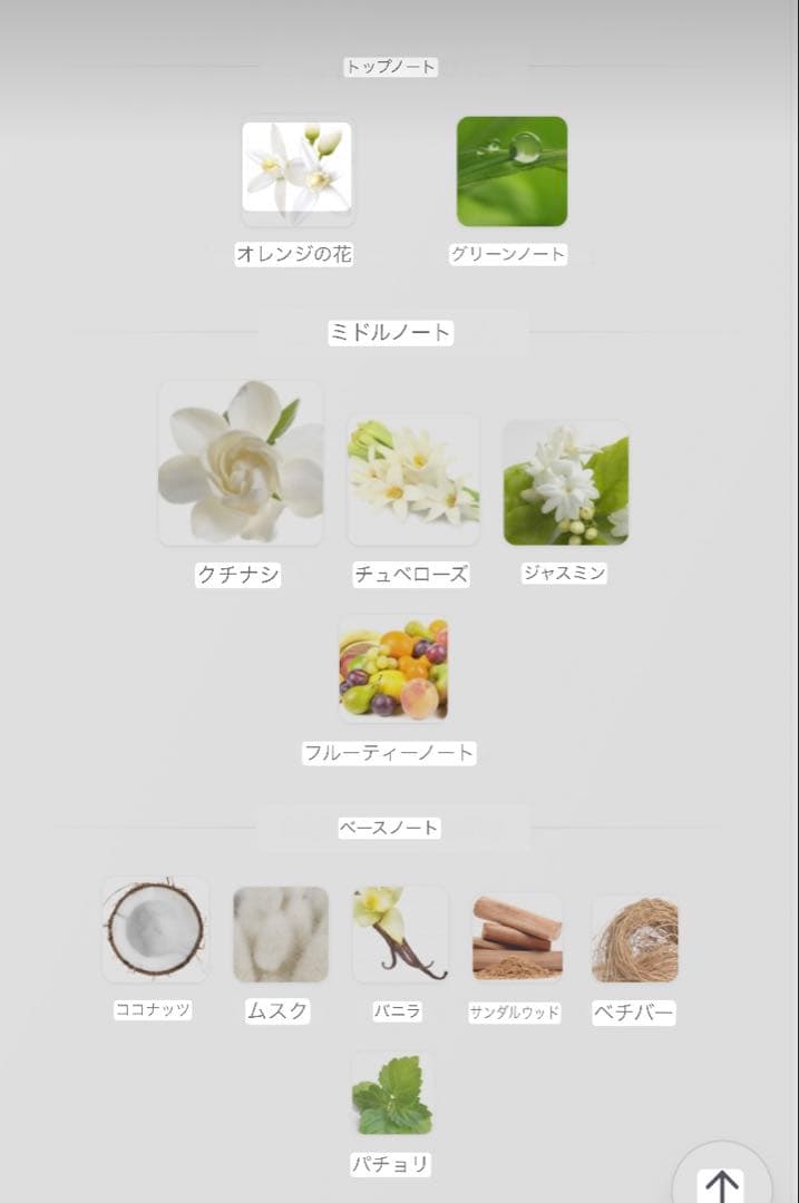 CHANEL ガーデニア オードパルファム 35ml 1本のみ