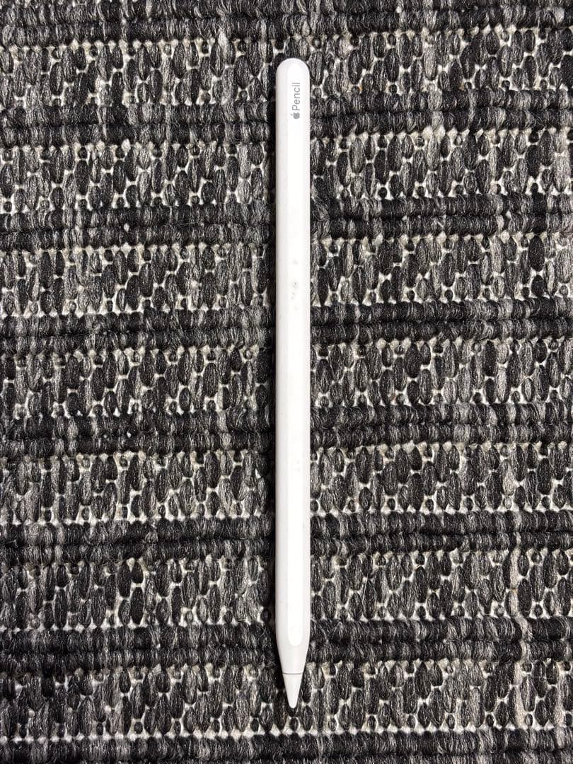 iPad Pro 11 第2世代256GB Wi-Fi