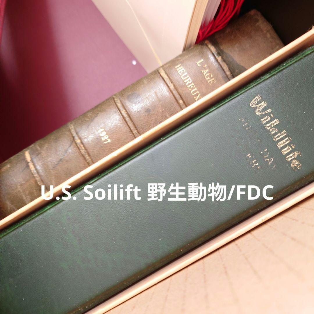 過去最大120サイズ/たっぷりephemeral box☆ヴィンテージ海外紙モノ