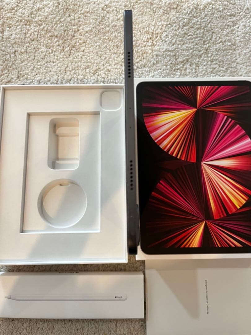 おまけ付【第3世代】iPad Pro 11インチ+Apple pencilケース