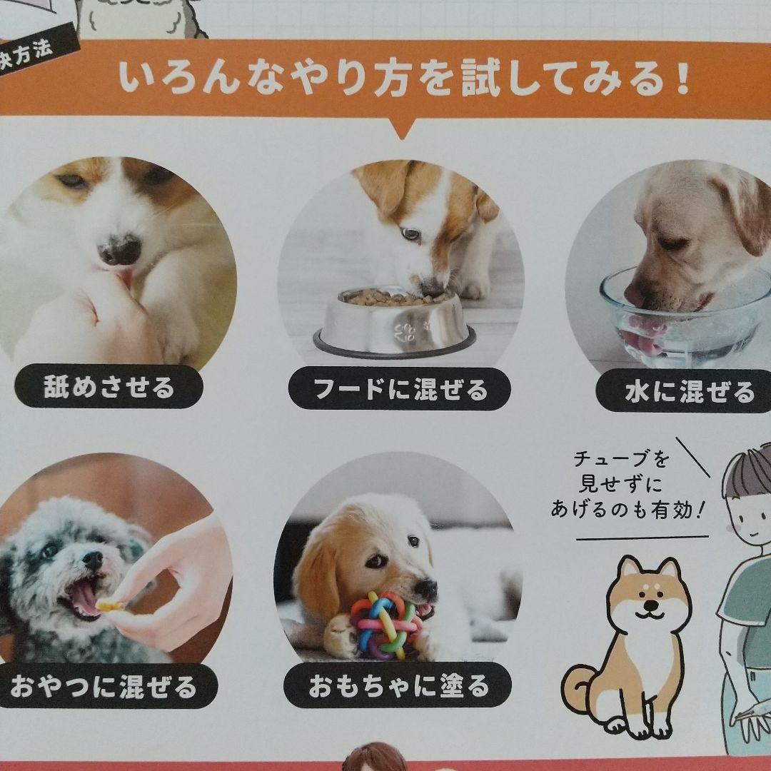 新品 ドクターデンタルワン ビーフ味 30g ４箱