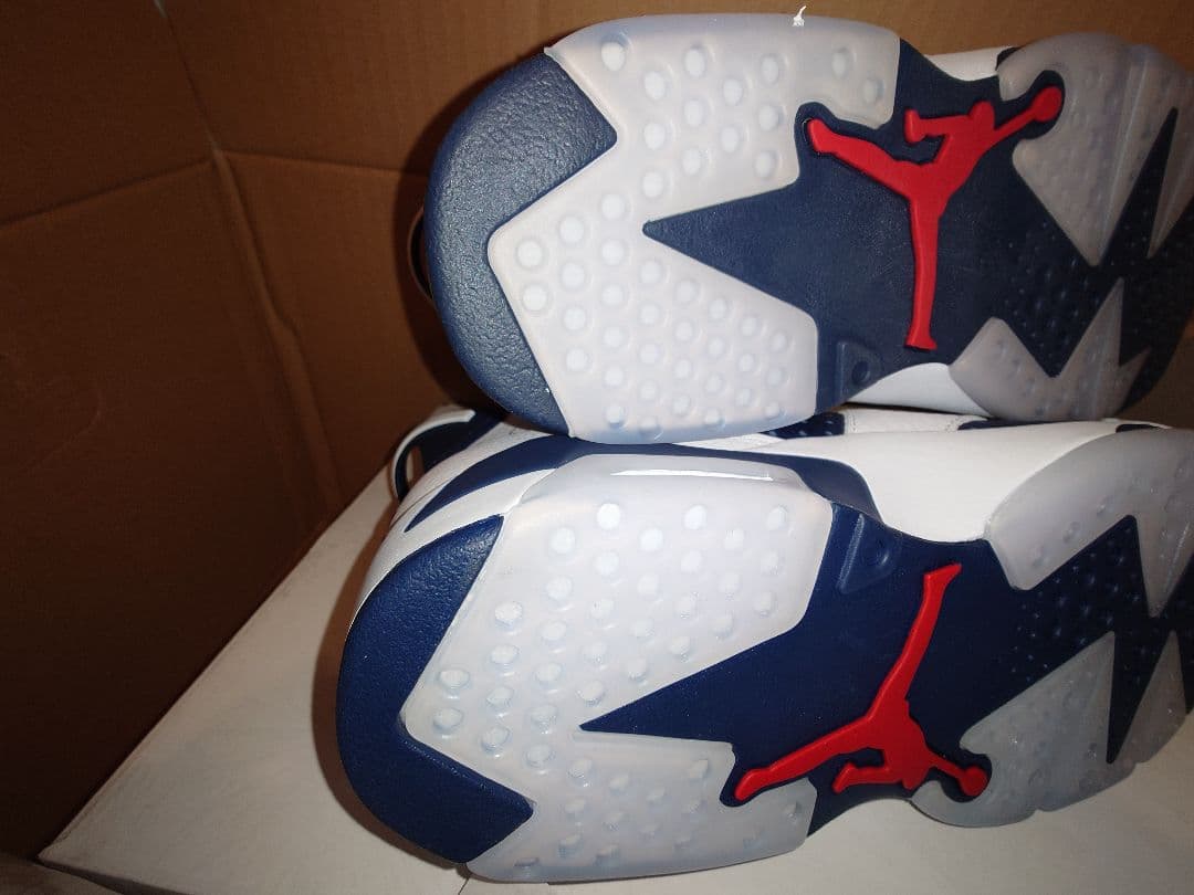 送料込 AIR JORDAN 6 RETRO　CT8529-164