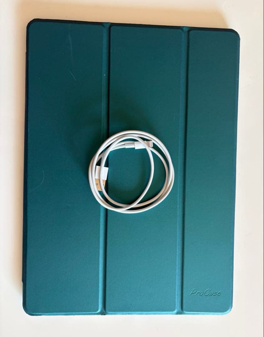 iPad Pro 12.9インチ 128GB 第1世代 Wi-Fi モデル