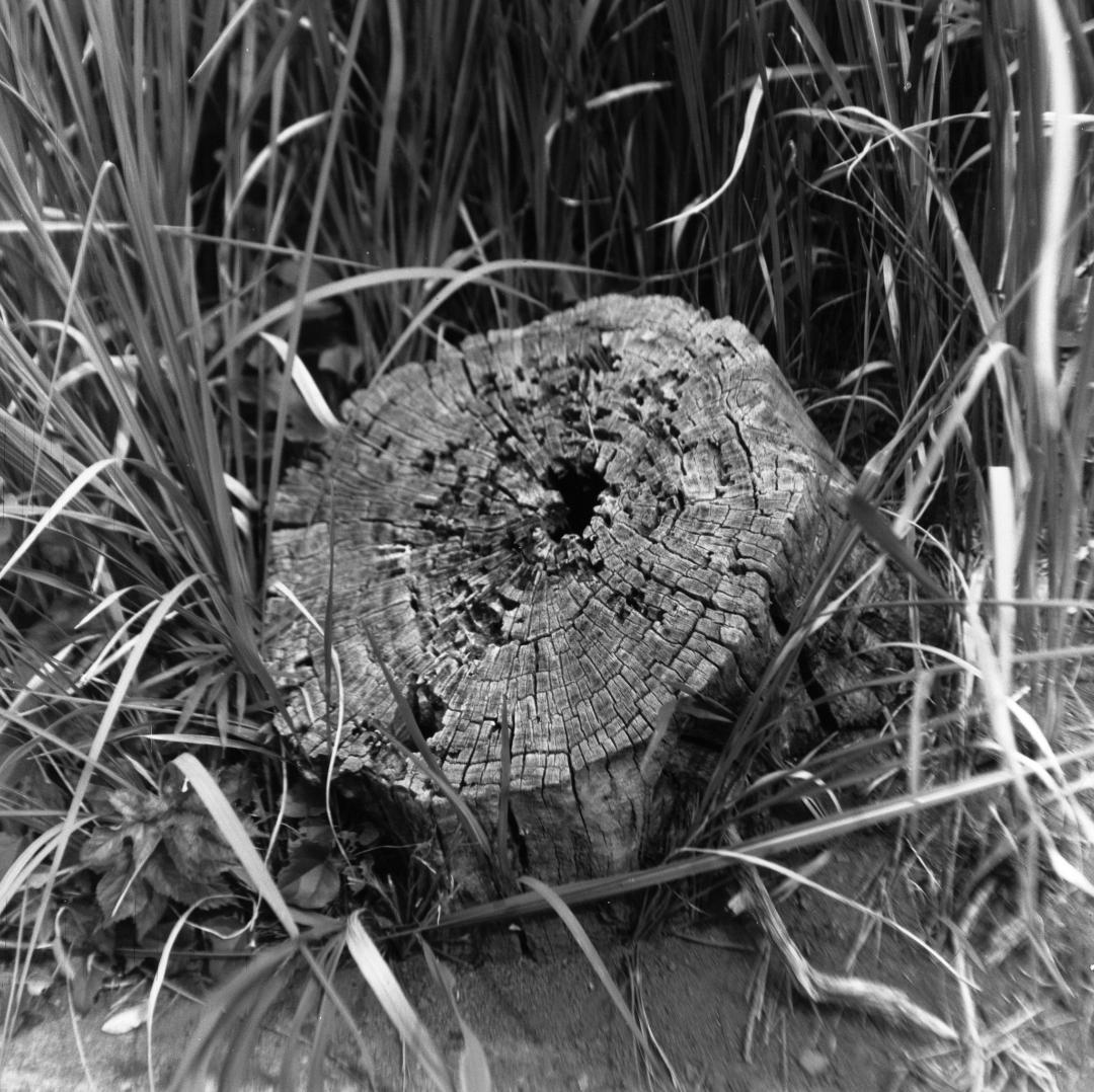 【作例あり】動作品　Minolta Autocord　二眼レフ