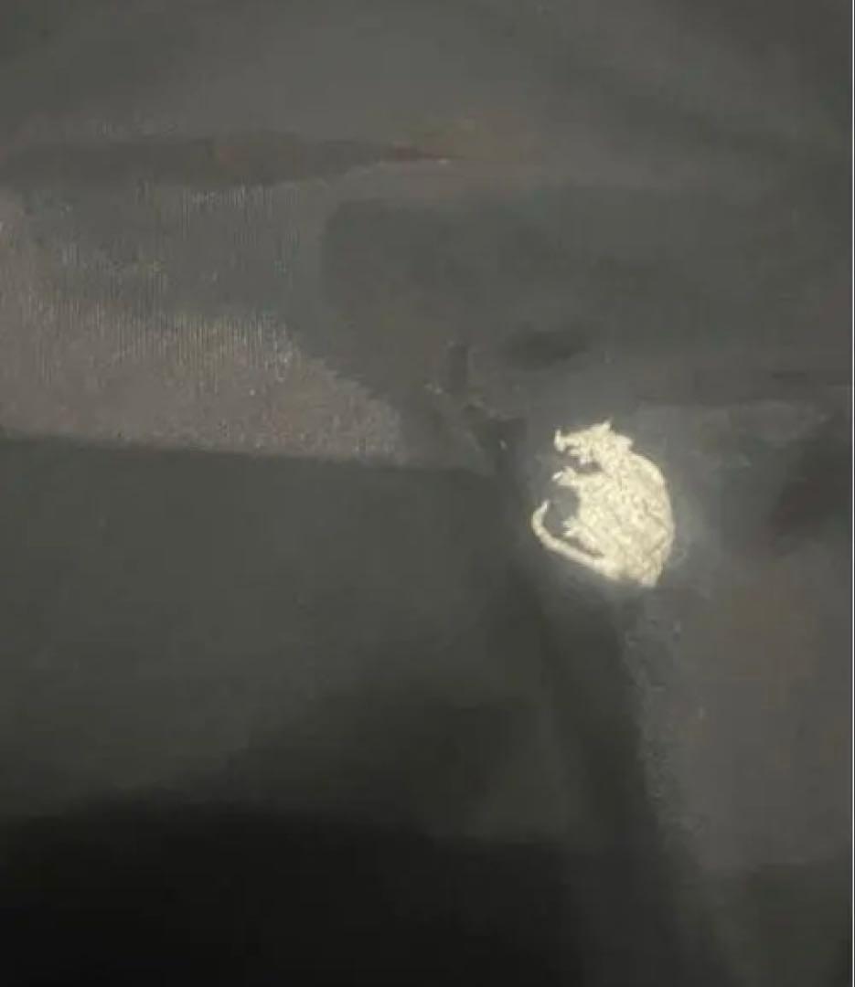 RATS コーチジャケット L way of life