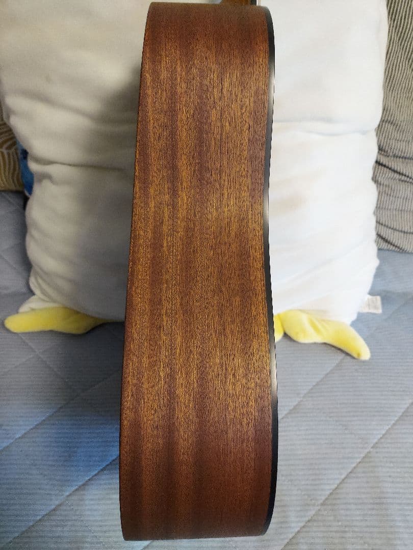 ギター 311 Martin DJR-10E