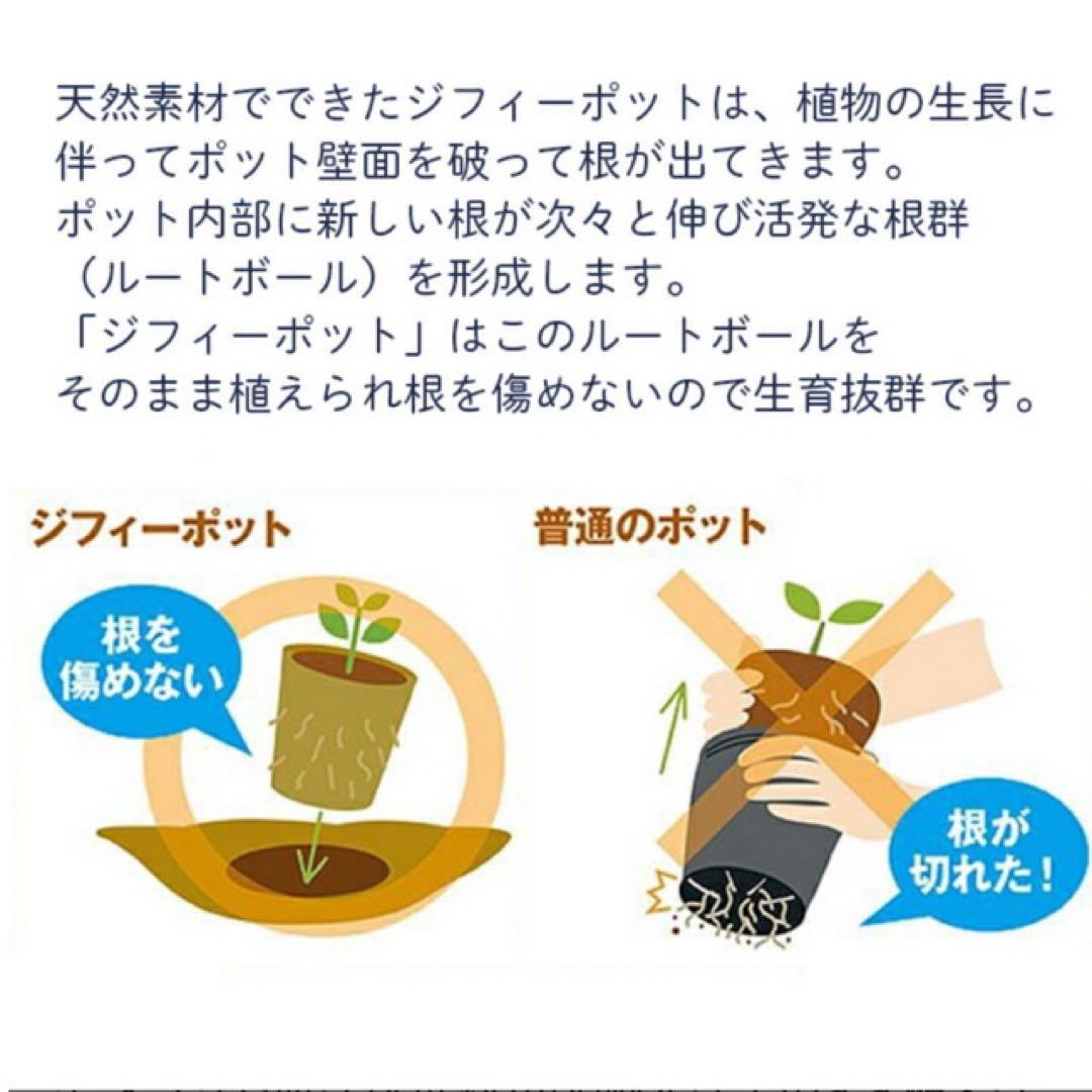 ジフィーポット丸型 8cm 約1400個入 スリット入り#130そのまま植えれる