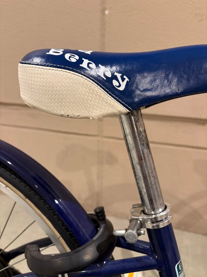 子供用自転車 ブリヂストン　Wild Berry 22インチ