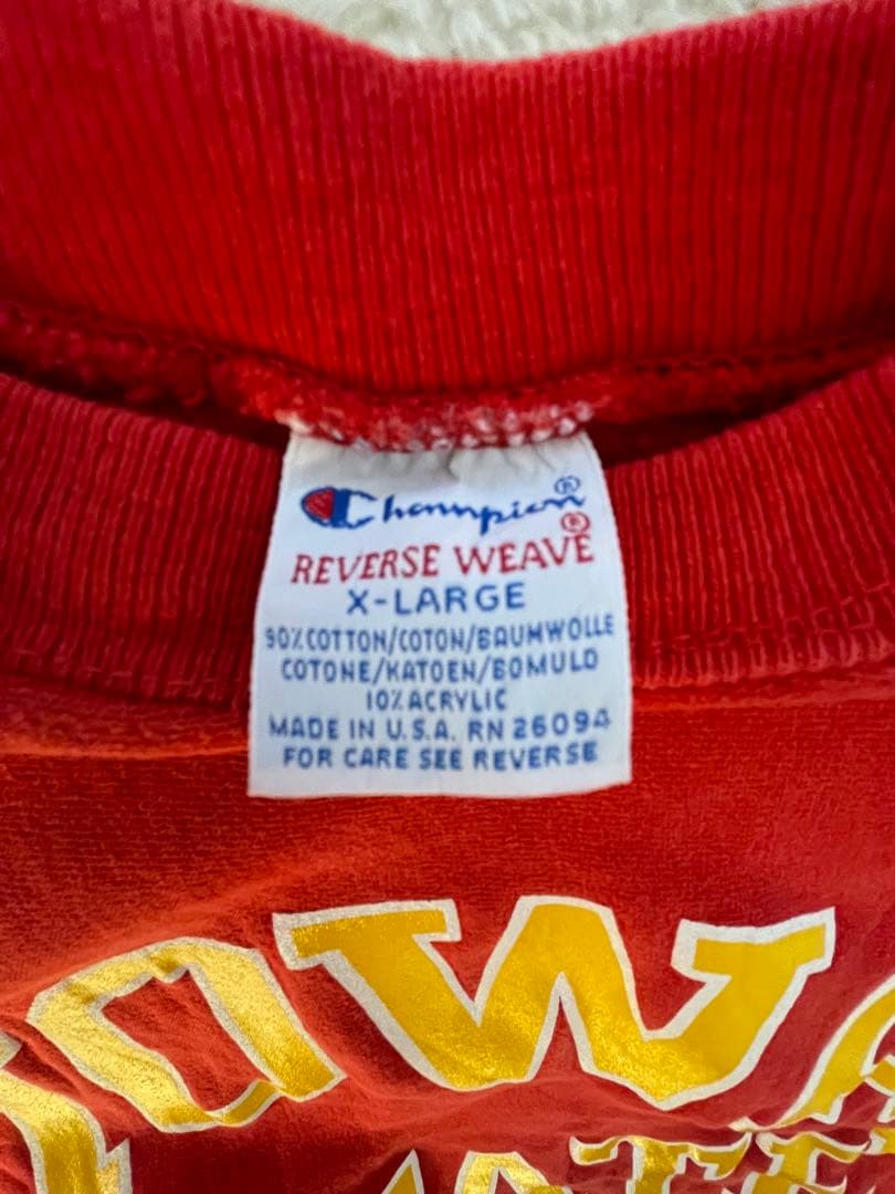 古着90年代USA製チャンピオンリバースウィーブアイオワ大学2段プリント好配色