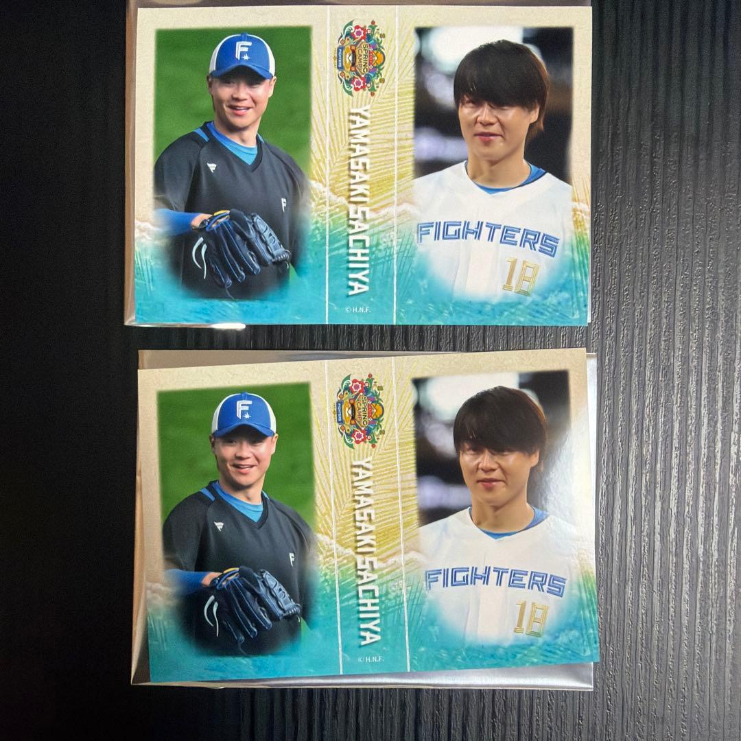 日本ハムファイターズ　キャンプ2026 ぬいぐるみ・ミニフォトセット