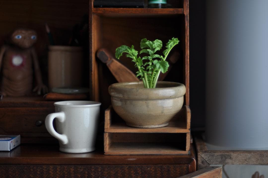 美品 ニコン D90 セット（18-105） & 50mm F1.4D