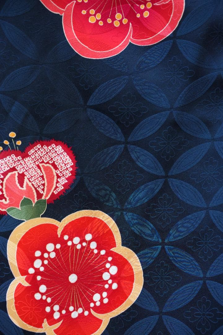 ≪美品≫正絹　振袖9点フルセット【920】【155cm~165cmの方用】