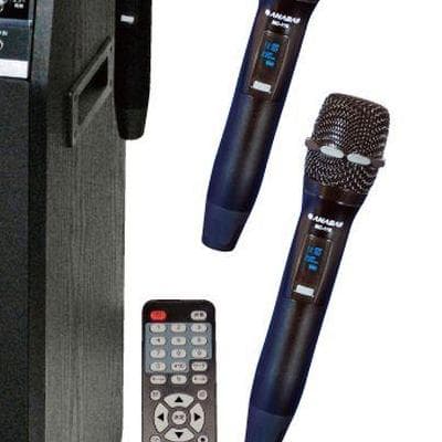 〇〇再入荷 ANABAS DVDカラオケセット DVD-K110SET