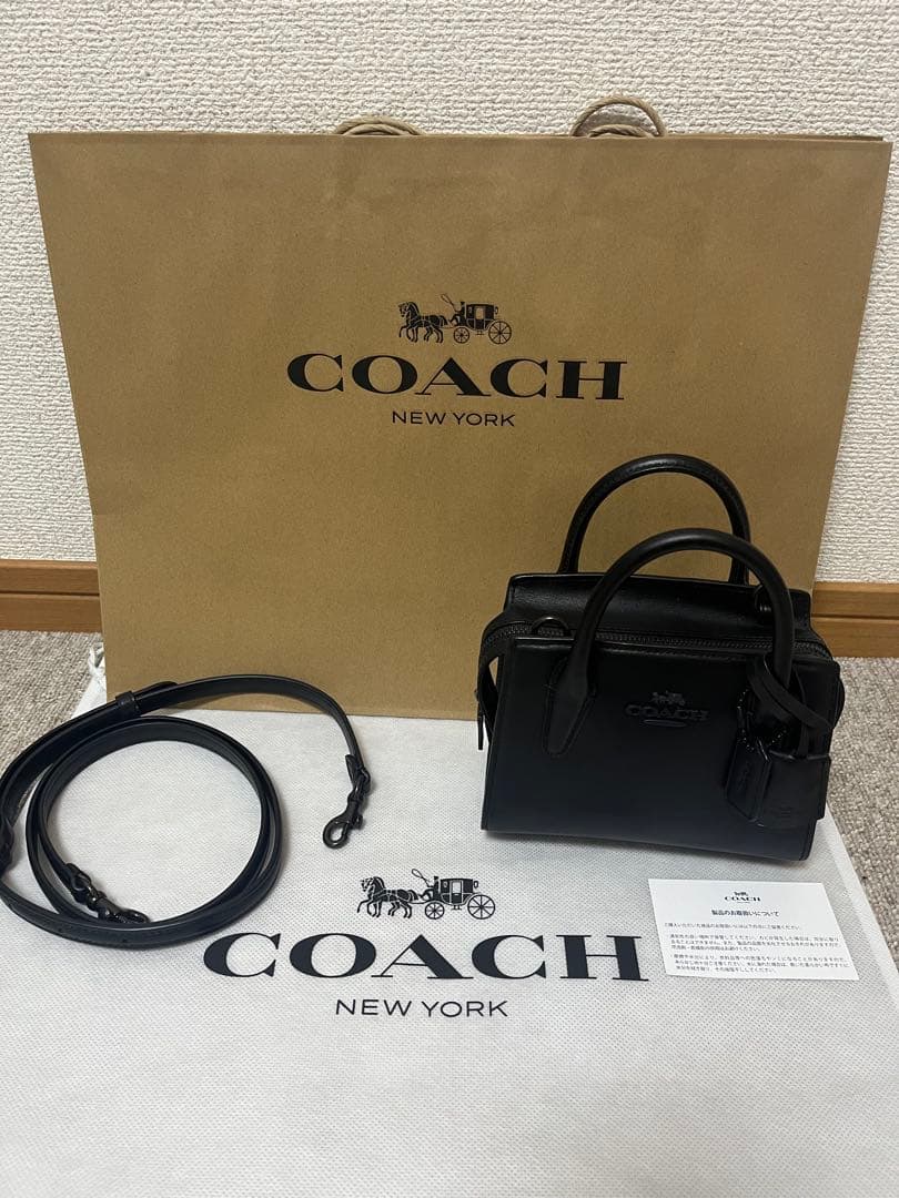 新品 コーチ アンドレア ミニ キャリーオール 2WAY ショルダーバッグ