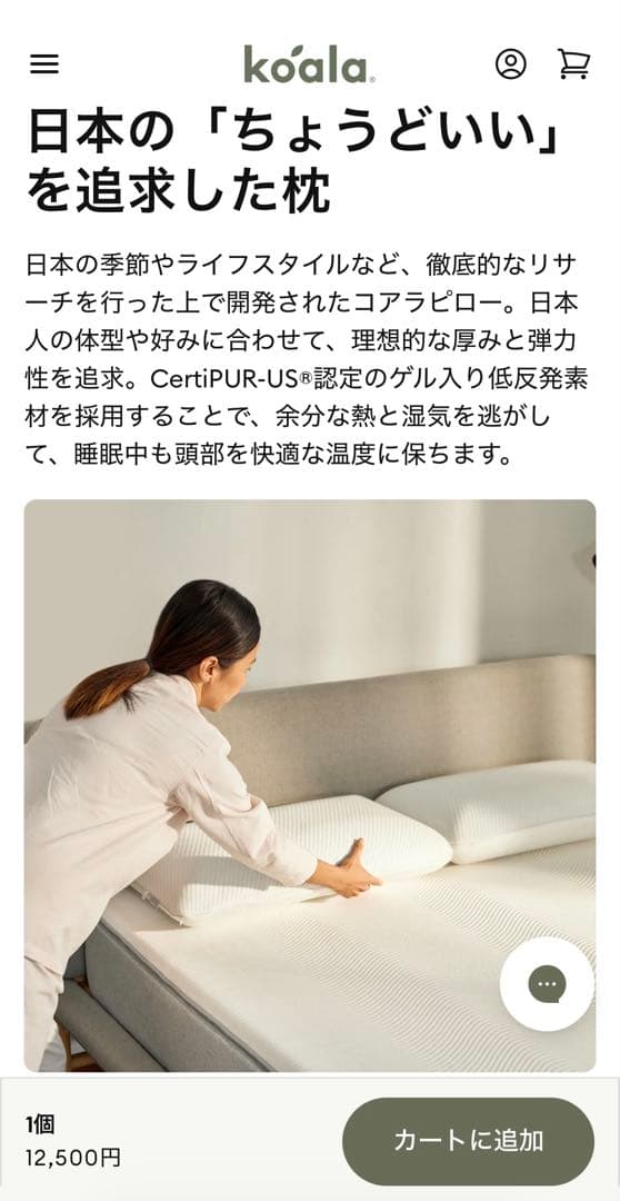 901【Koala 正規品／未開封／新品未使用】￥12,500／コアラピロー／枕