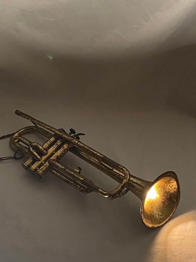 2780❣️ トランペット　照明　ペンダントライト 超　レア　　ヴィンテージ