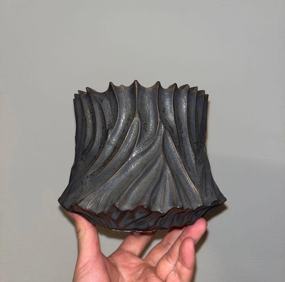 XL SIZE 植木鉢 作家鉢 アガベ グラキリス ホリダ チタノタ シーザー