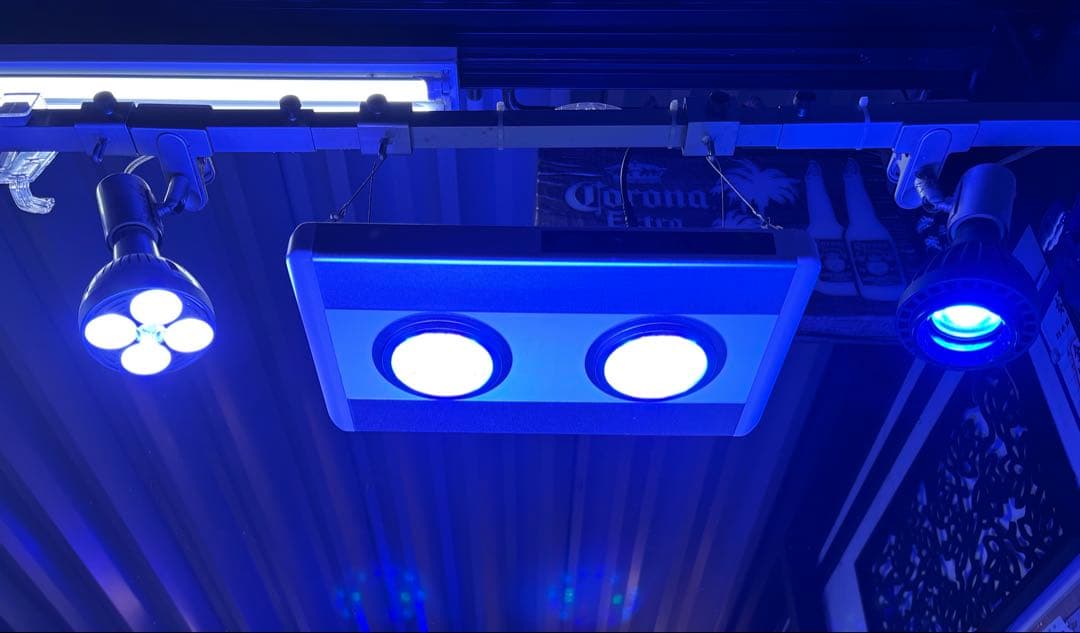 オーバーフロー水槽 フルセット　(生体含まず)